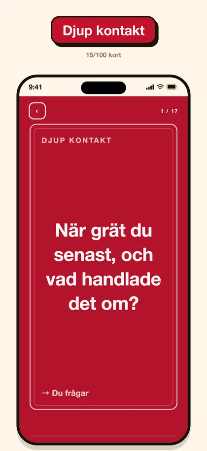 Skärmbild från Pairo-appen
